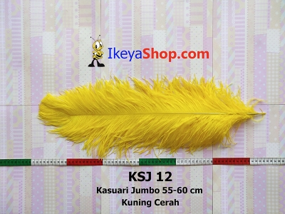 KSJ 12  large2
